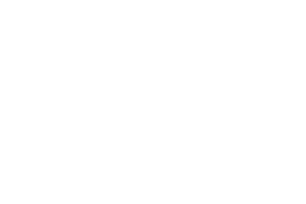 Logos Colegio Agnes