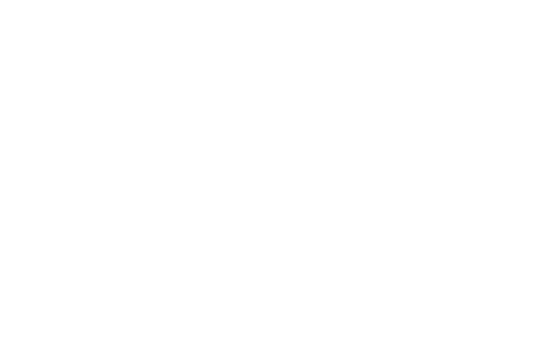 Logo Hugo Boss
